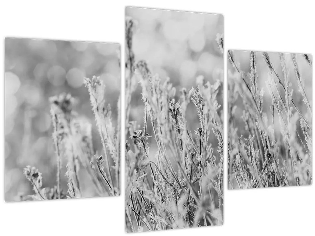 Obraz - Chladná zima (90x60 cm)