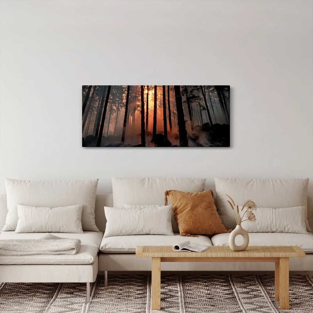 Obraz temného lesa (120x50 cm)