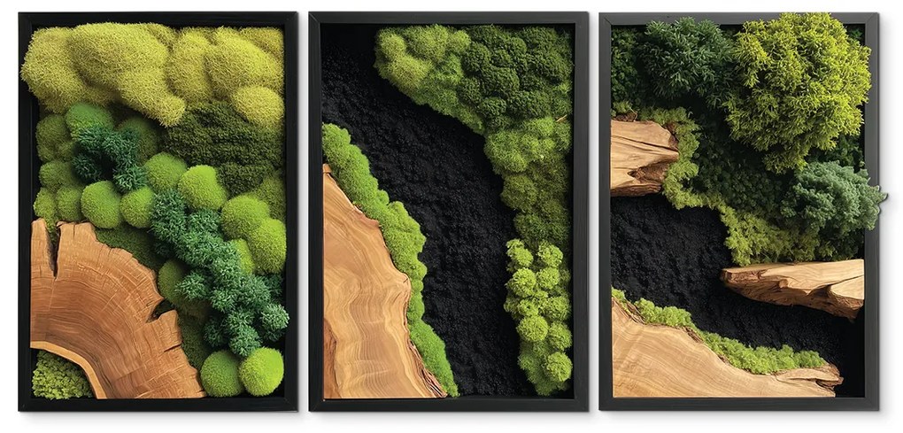 drevko |  Trojdielny machový obraz Hlbočina (UV tlač)  41 x 90 cm