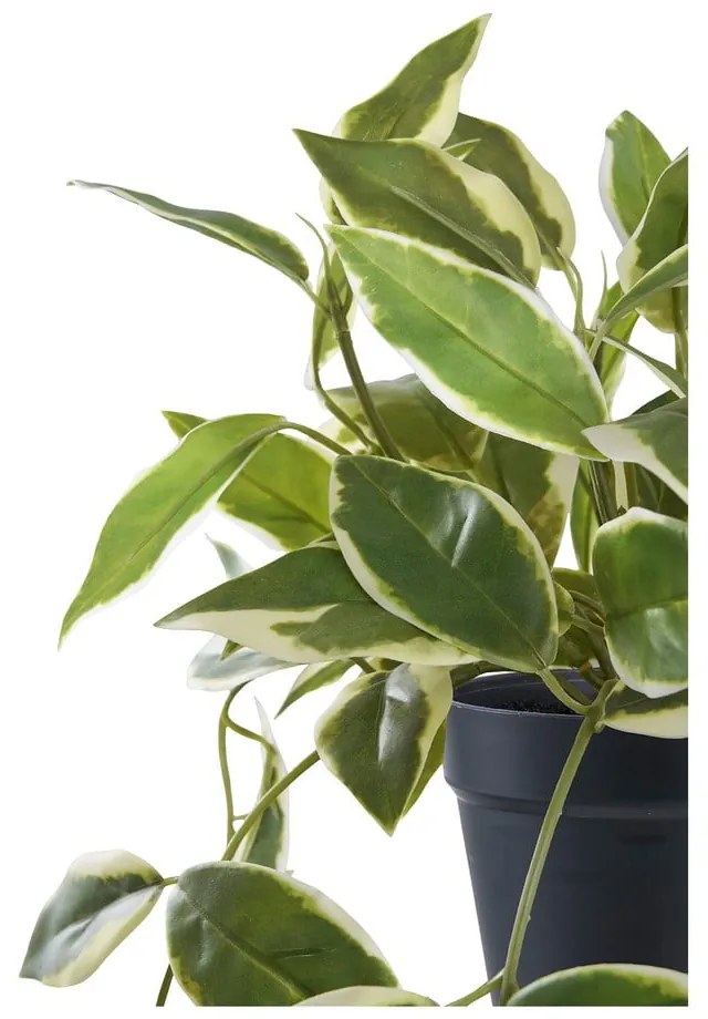 Umelá rastlina (výška 33 cm) Hoya Carnosa – House Nordic