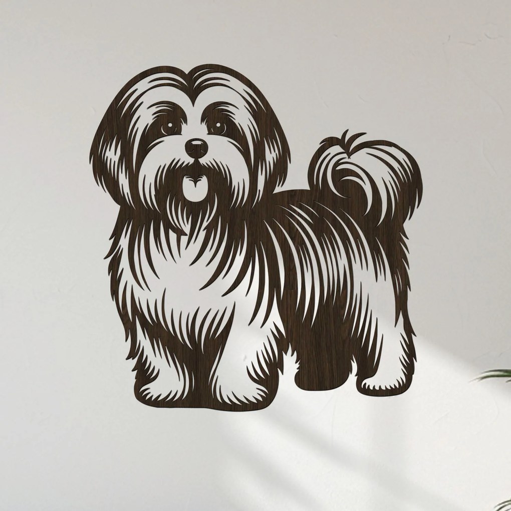 dřevo života Drevený obraz Havanský psík (Havanese) Rozmery - cm: 38x40, Zvoľte farbu dekoru: Dub zlatý