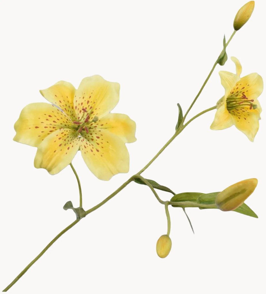 Rastlinné dekorácie Lily, 2 ks