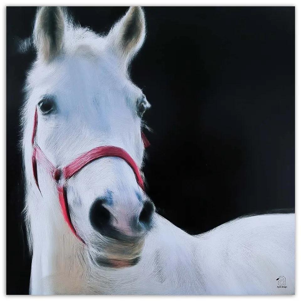 Obraz na plátně Bílí koně - 30x30 cm