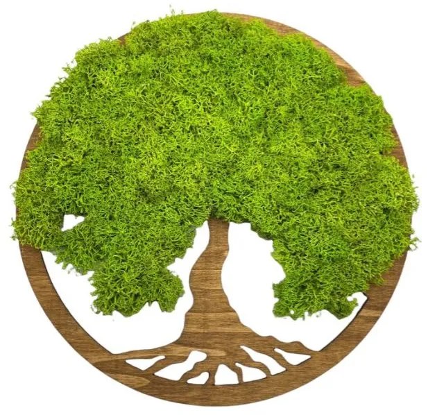 Strom na stenu z machu Elva 30 cm