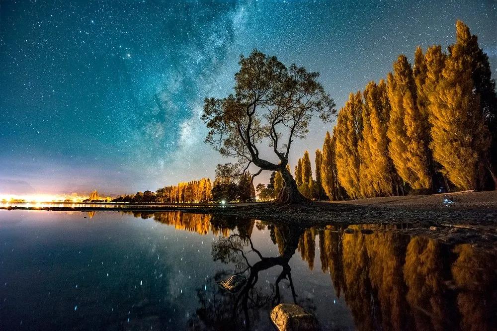 Fototapeta strom pod hviezdnou oblohou - 150x100