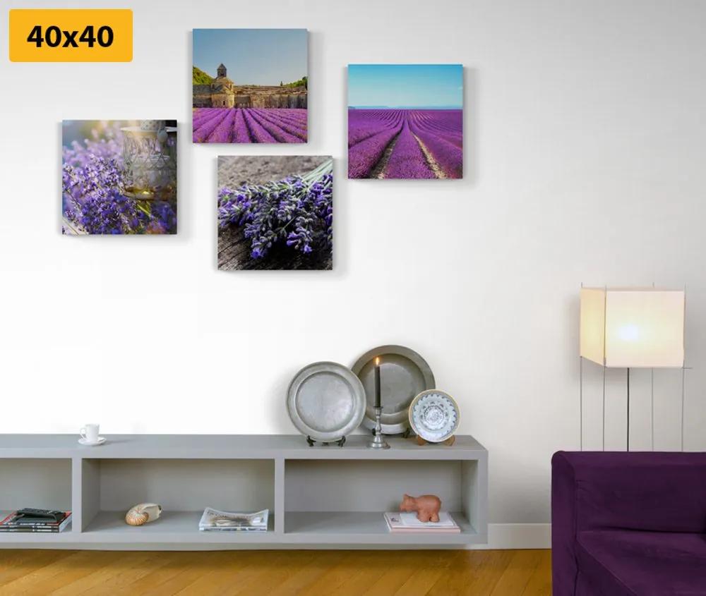 Set obrazov krásna levanduľa Varianta: 4x 60x60