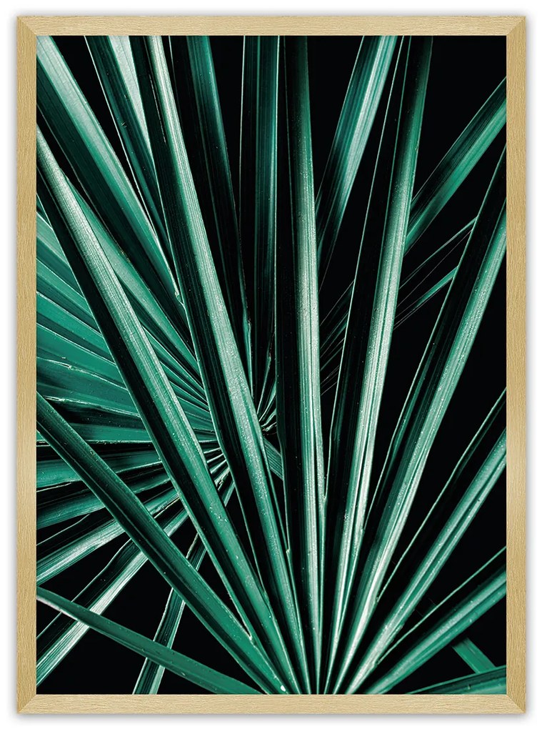 Plagát Dark Palm Tree
