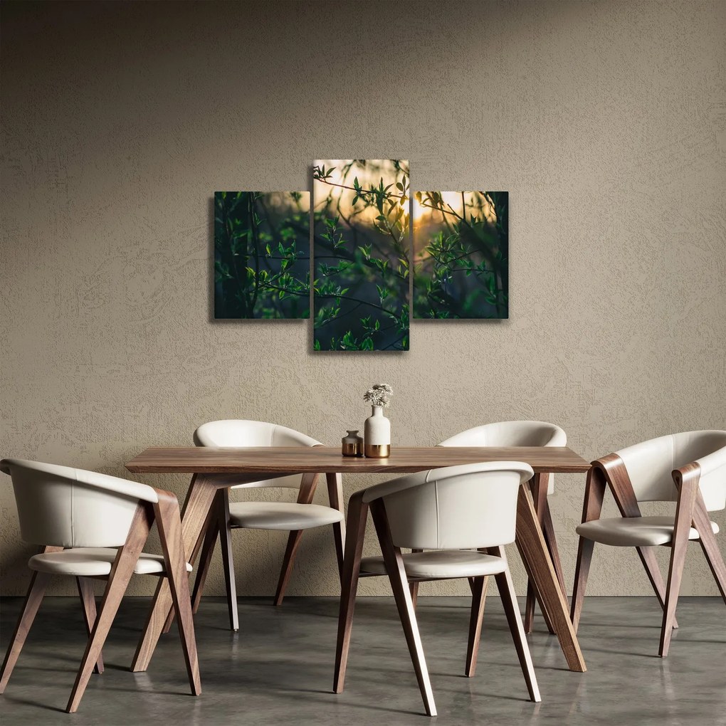Obraz presvitajúceho slnka cez vetvičky stromov (90x60 cm)