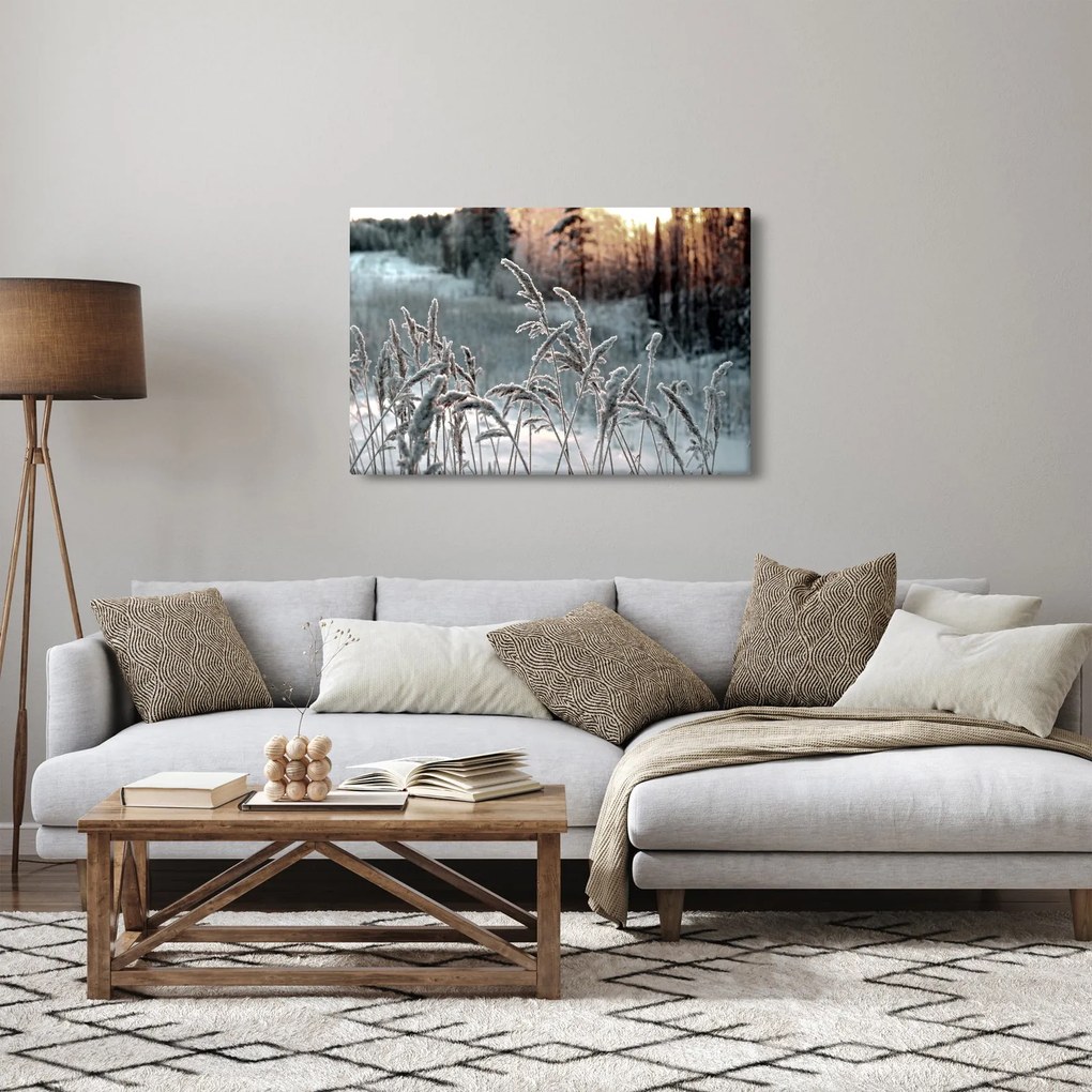 Obraz - Zamrznutá lúka (90x60 cm)