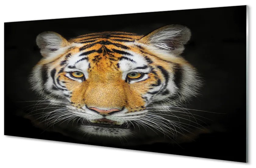 Obraz na akrylátovom skle Tiger 100x50 cm