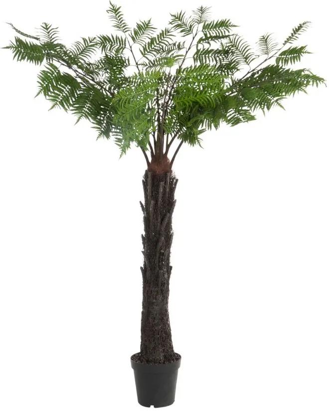 Okrasná palma v kvetináči - Ø150 * 190cm