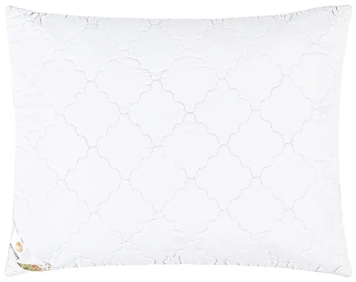 LIVARNO home Vankúš Polygiene® , 70 x 90 cm (100365754)