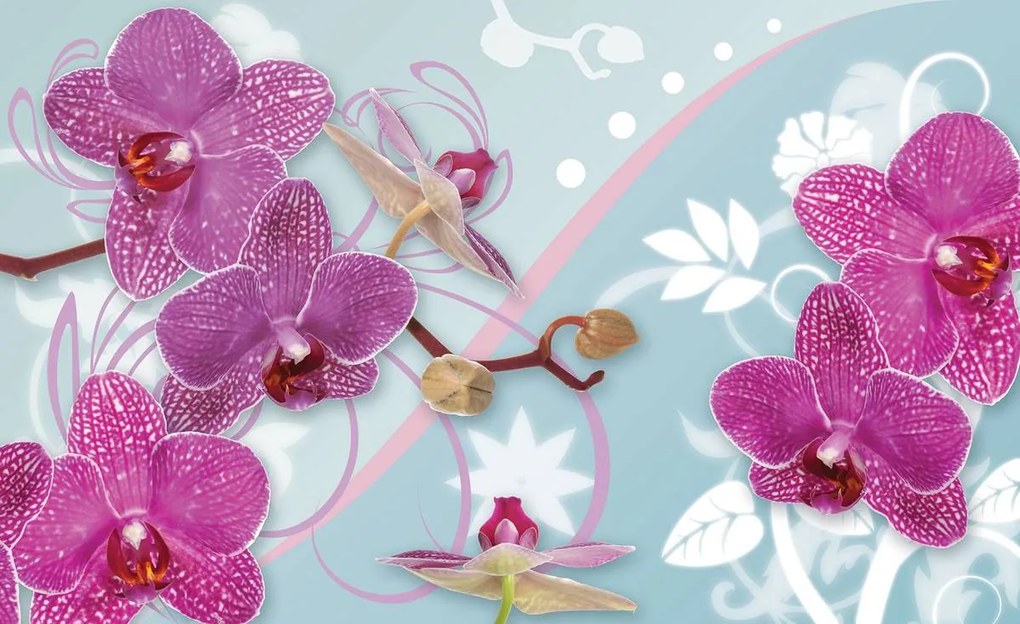 Fototapeta - Orchidea (152,5x104 cm)