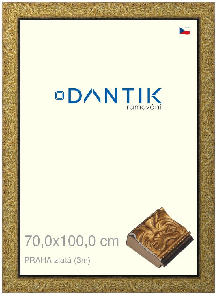 DANTIK rám na obraz 70x100 | PRAHA zlatá (Plexi Čiré)