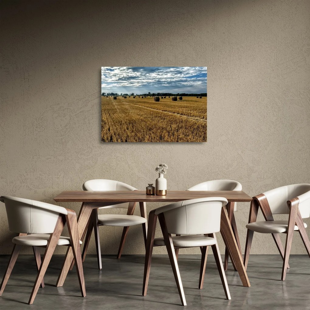 Sklenený obraz zozbieraného obilného poľa (70x50 cm)