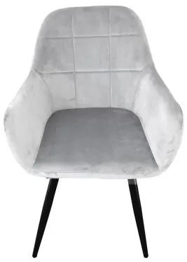 Sammer Elegantné stoličky velúrové v sivej farbe- 2 kusy v sade HD18151