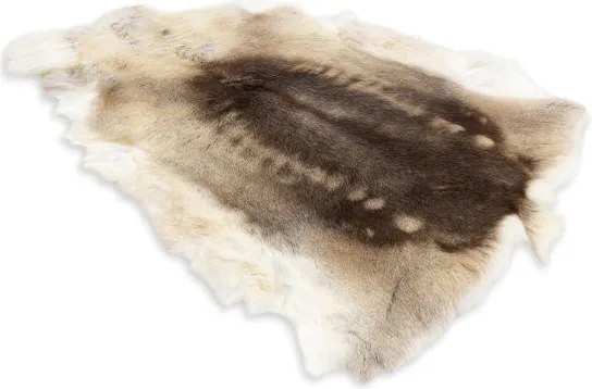 Koberec RENIFER POK016 hnedý / béžový