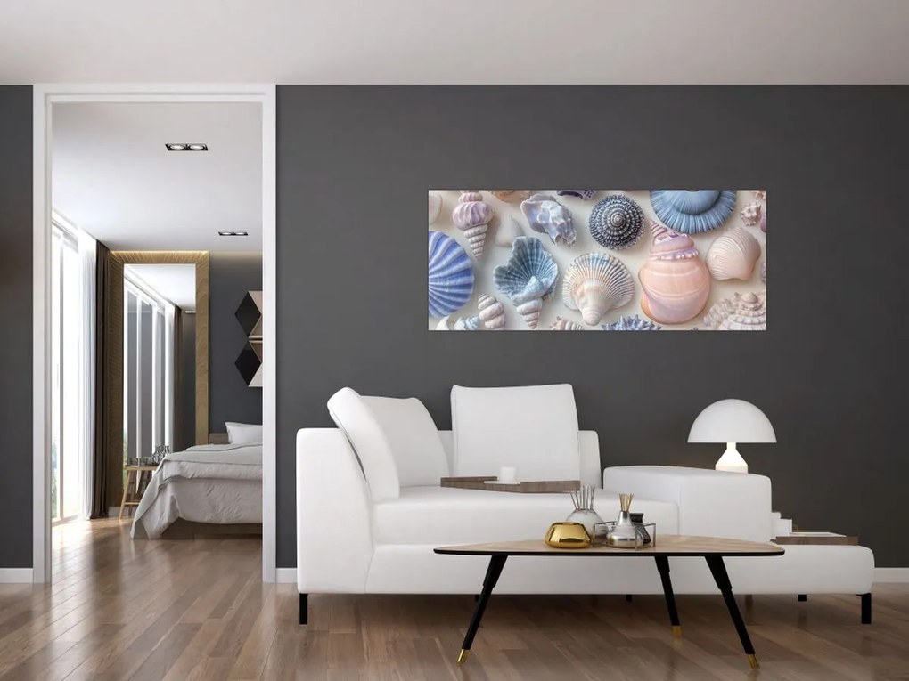 Obraz - Zbierka mušlí (120x50 cm)