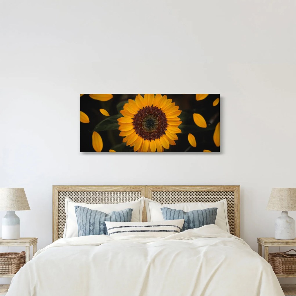 Obraz - Slnečnice a lístky kvetov (120x50 cm)