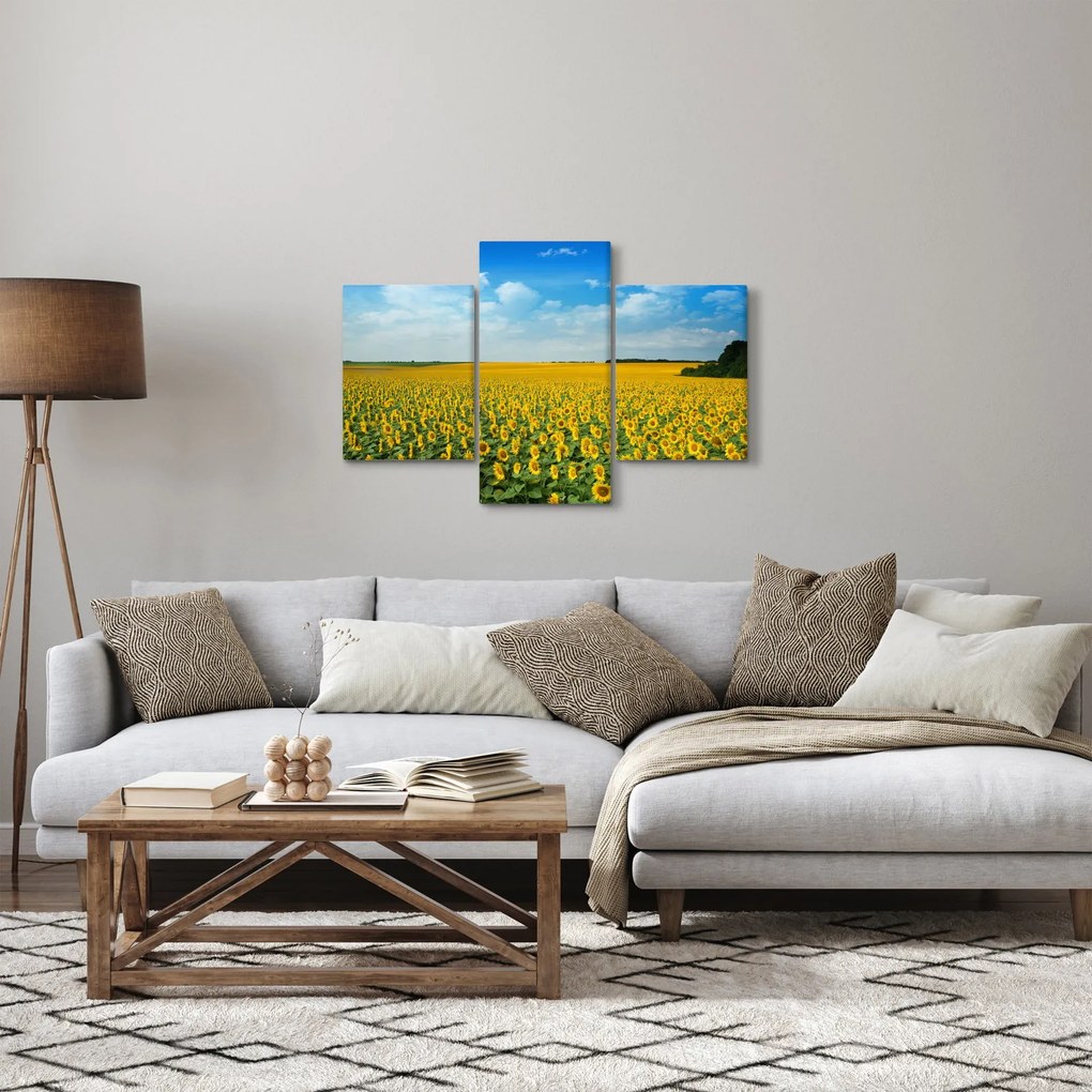 Obraz - pás slnečníc (90x60 cm)