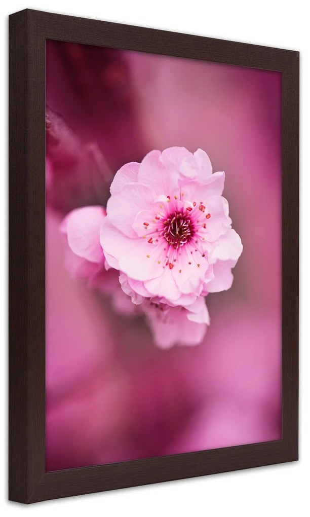 Gario Plagát Čerešňový kvet v záhrade Farba rámu: Bez rámu, Rozmery: 40 x 60 cm