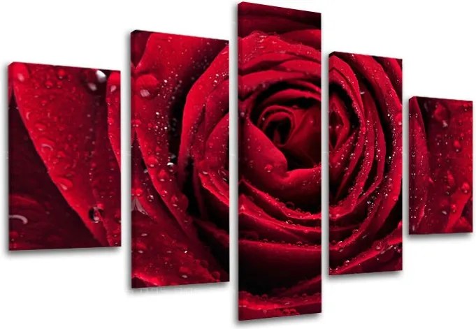 Obraz na stenu 5 dielny KVETY KV012E50 - 100x80 cm