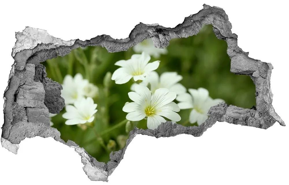 Samolepiaca nálepka na stenu Jarné kvety nd-b-112767766
