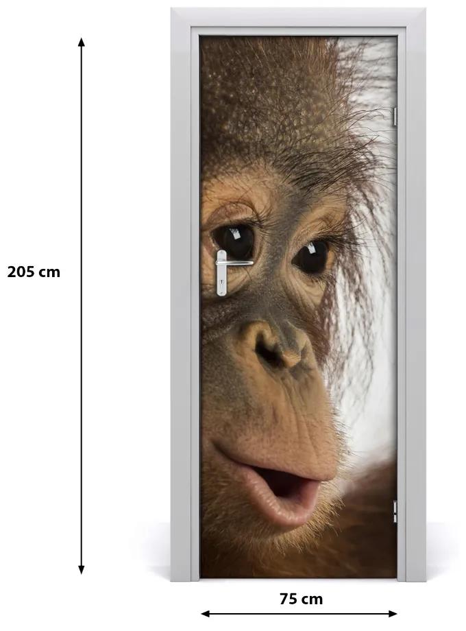 Samolepiace fototapety na dvere mladý orangutan 75x205 cm