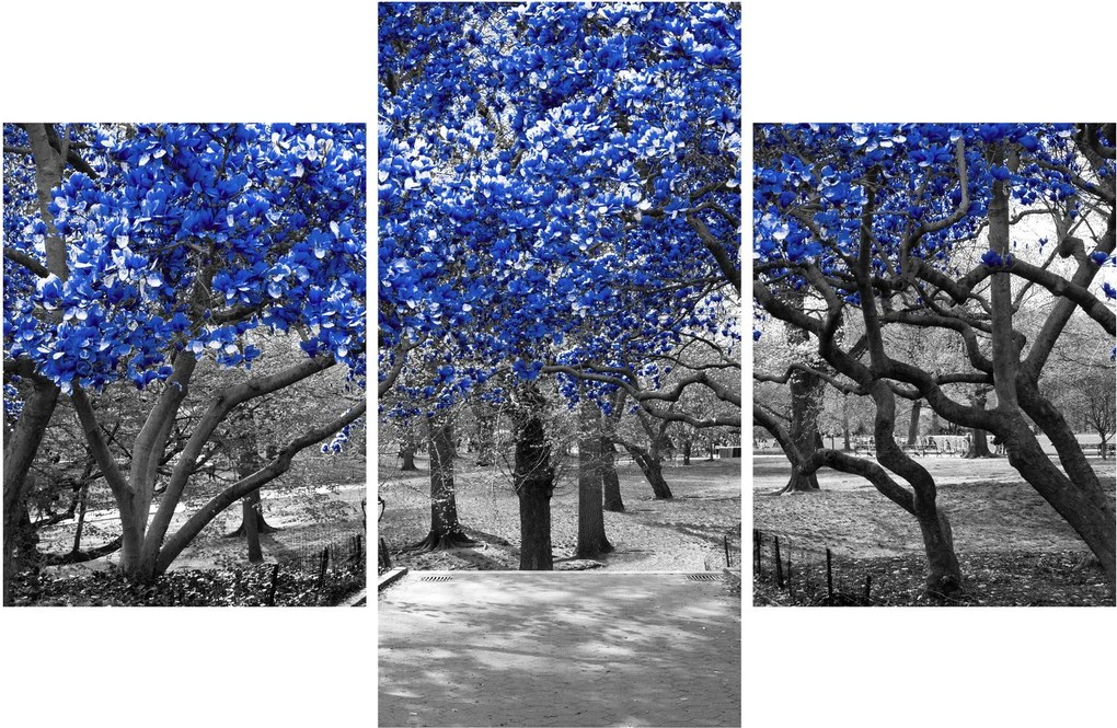 Obrázok - Modré stromy, Central Park, New York (90x60 cm)
