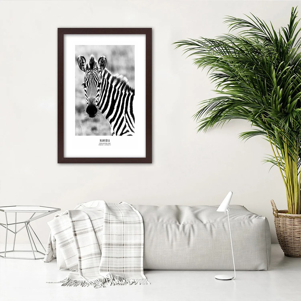 Gario Plagát Zvedavá zebra Farba rámu: Bez rámu, Rozmery: 30 x 45 cm