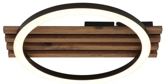 Globo 67353D1 - LED Stropné svietidlo TISHA LED/12W/230V 3000K 30x34 cm