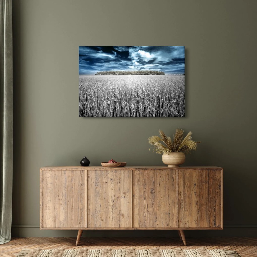 Obraz pole (90x60 cm)