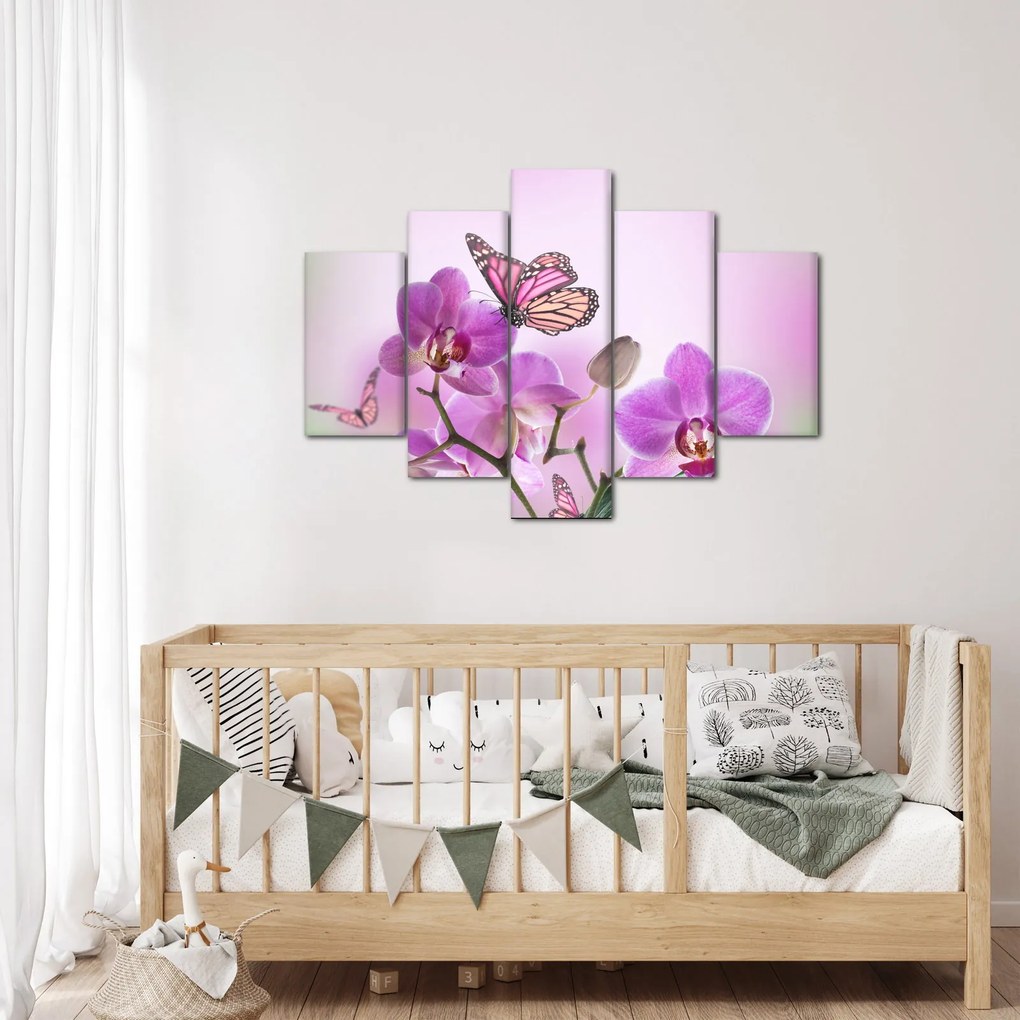 Obraz - Motýľ na kvetoch orchidey, lila (150x105 cm)