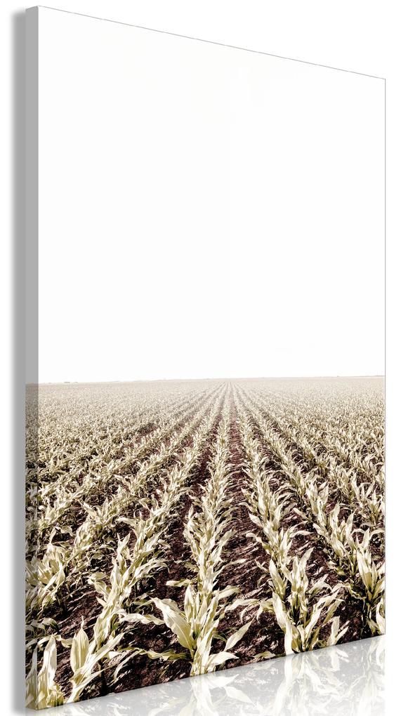 Artgeist Obraz - Corn Field (1 Part) Vertical Veľkosť: 40x60, Verzia: Na talianskom plátne