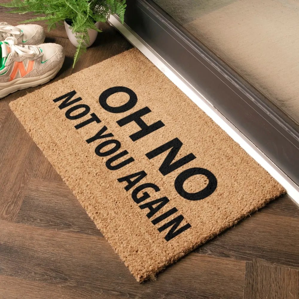 Rohožka z kokosového vlákna 40x60 cm Not You Again – Artsy Doormats