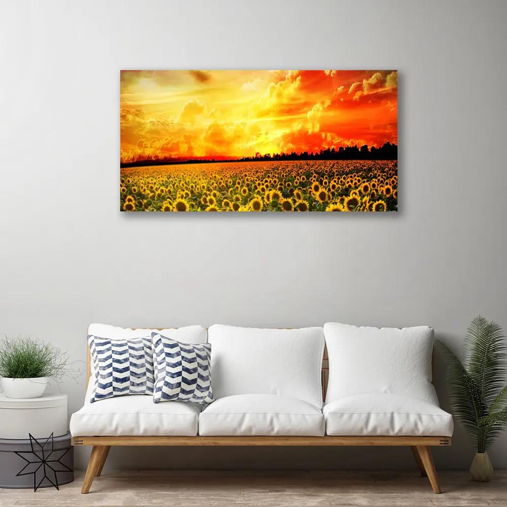 Obraz Canvas Lúka slnečnica kvety 140x70 cm