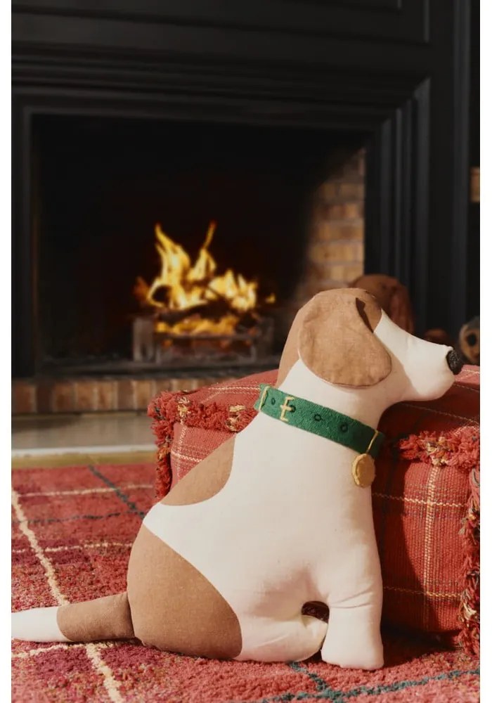 Bavlnený detský vankúšik 36x45 cm Cooper – Lorena Canals