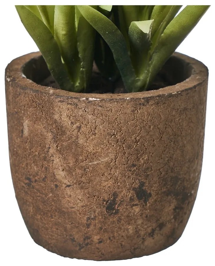 Umelé rastliny v súprave 4 ks (výška 10 cm) Cactus – Casa Selección