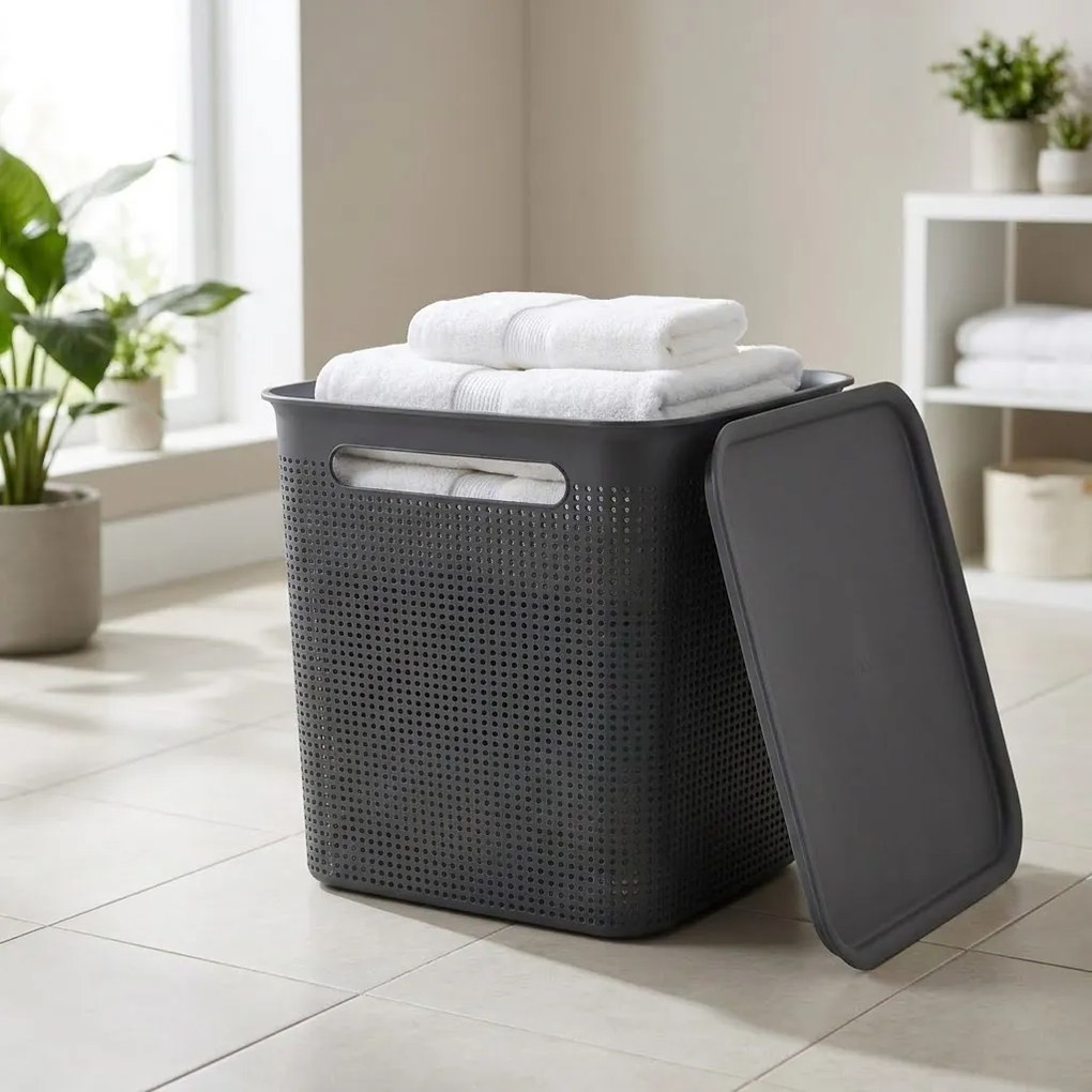 Rotho Úložný box s víkem a s madly BRISEN 18l, 29x29x29cm, černý