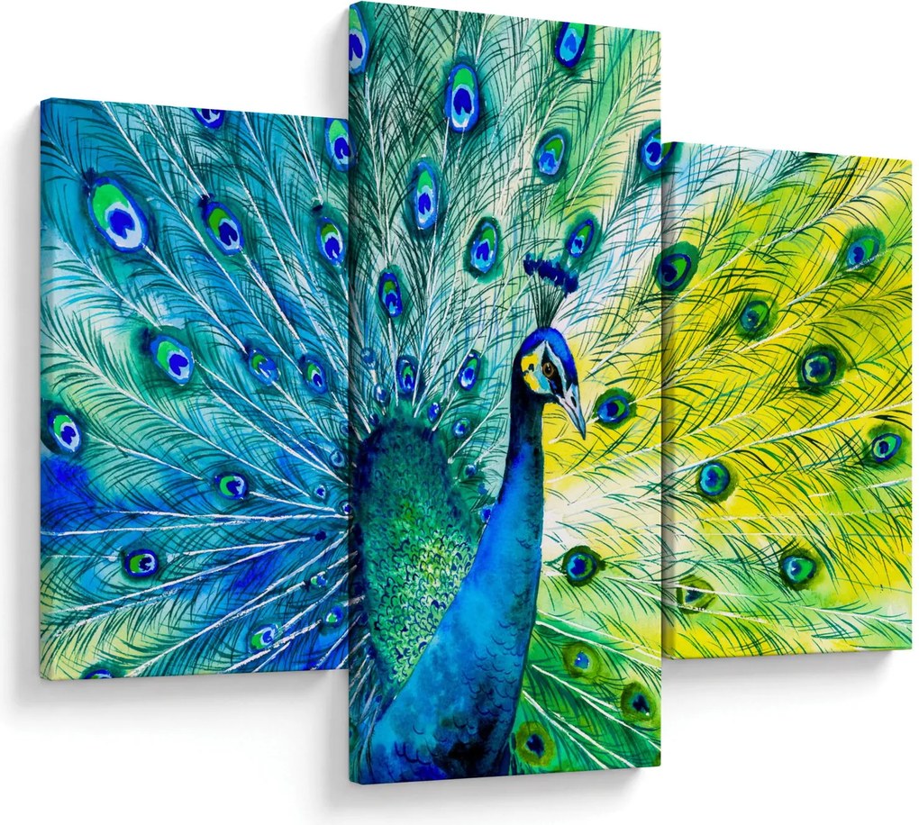 Obraz páva (90x60 cm)