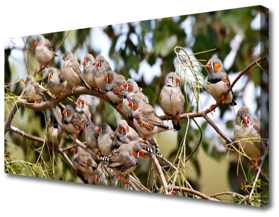 Obraz na plátne Vtáky zvieratá 100x50 cm
