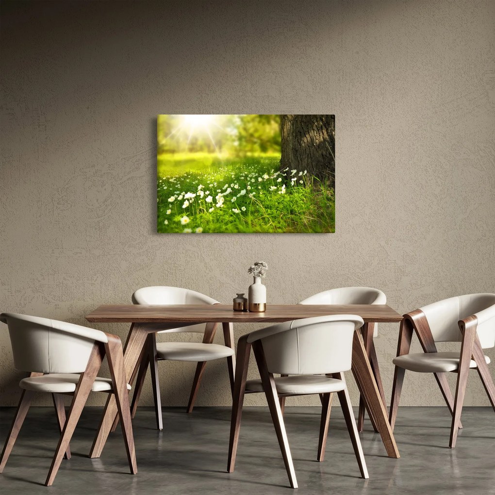 Obraz paseky a kvetín (90x60 cm)