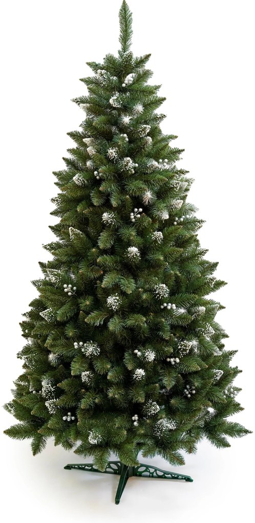 Vianočný stromček- Borovica Iza 240cm