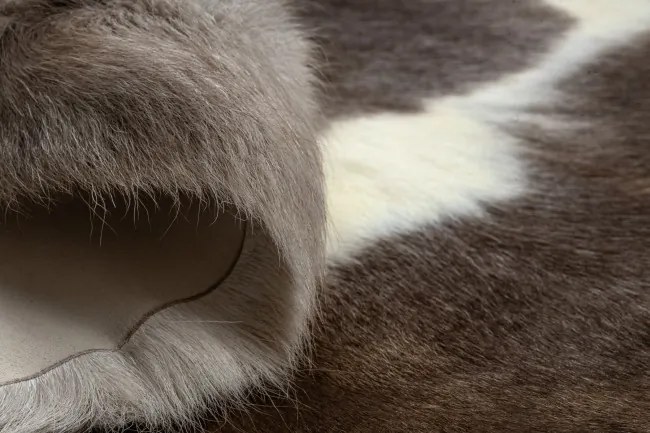 Koberec RENIFER POK019 hnedý