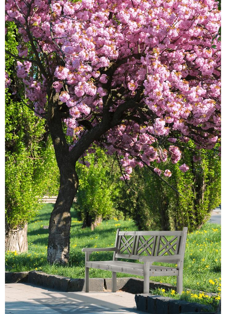 Záhradná lavička Finbona (sivá). Vlastná spoľahlivá doprava až k Vám domov. 1021413