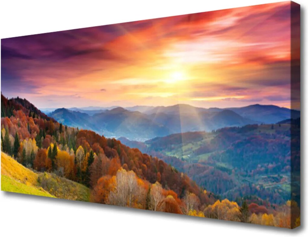 Obraz Canvas Hora les slunce krajina