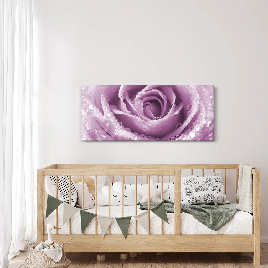 Obraz detailu kvetu ruže (120x50 cm)