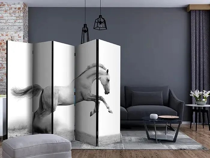 Paraván - White gallop II [Room Dividers] Veľkosť: 225x172, Verzia: Jednostranný