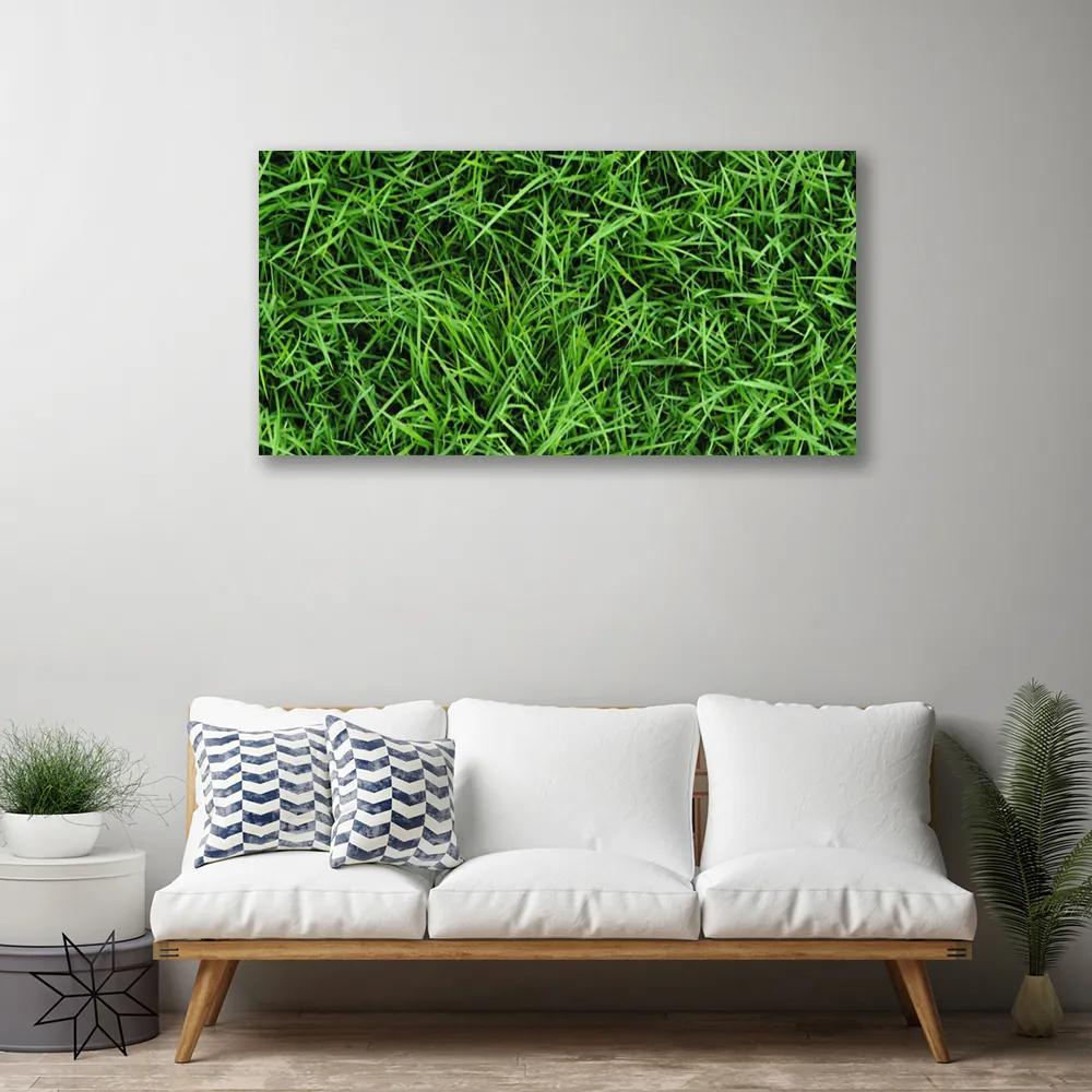 Obraz na plátne Tráva trávnik 120x60 cm