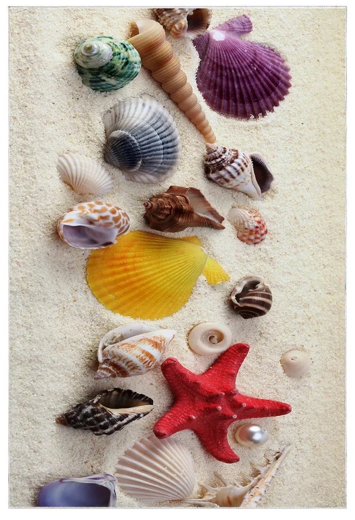 Súprava 2 kusov kúpeľňových predložiek SeaSea viacfarebná